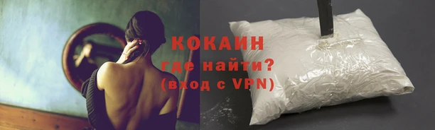эйфоретик Нефтекумск