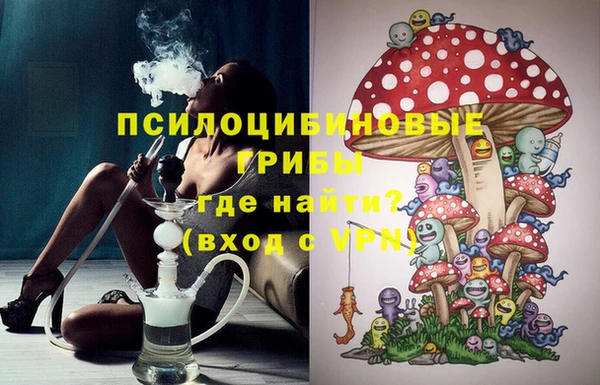 прущий лед Нея