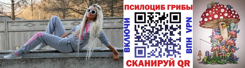 магазин    Рязань  Псилоцибиновые грибы GOLDEN TEACHER 