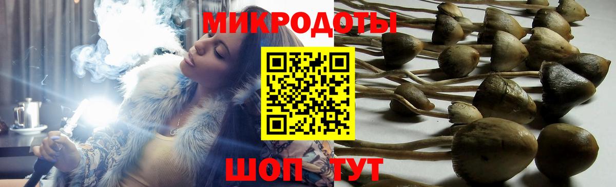 Галлюциногенные грибы Psilocybe  Галлюциногенные грибы прущие грибы  Рязань  где купить наркоту  Вход с VPN 